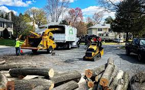 Best Hazardous Tree Removal  in Linden, CA